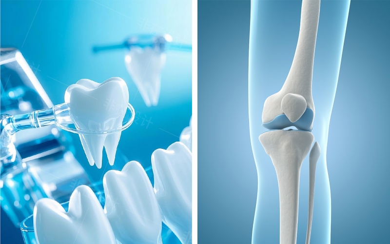 Dentistry&Orthopedics